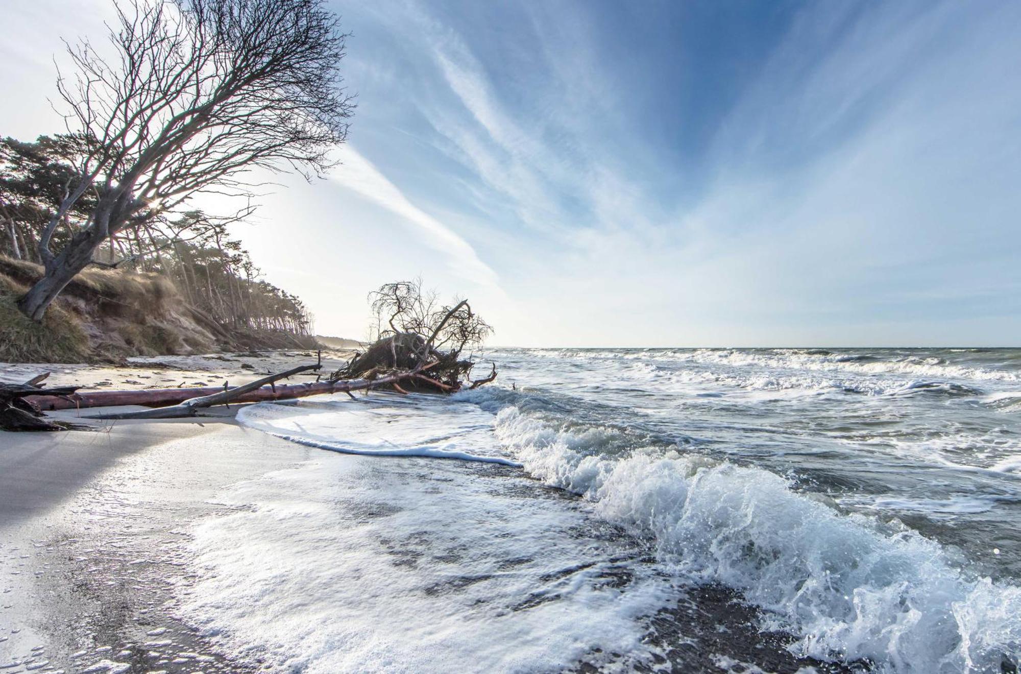 Leuchtturm An Der Seebruecke Zingst Ngoại thất bức ảnh