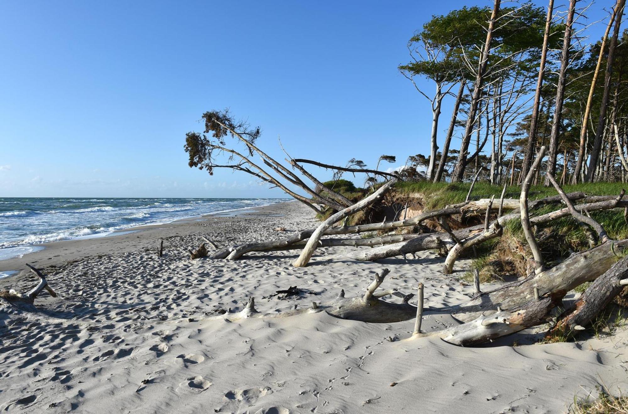 Leuchtturm An Der Seebruecke Zingst Ngoại thất bức ảnh
